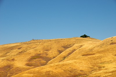 Summer photo